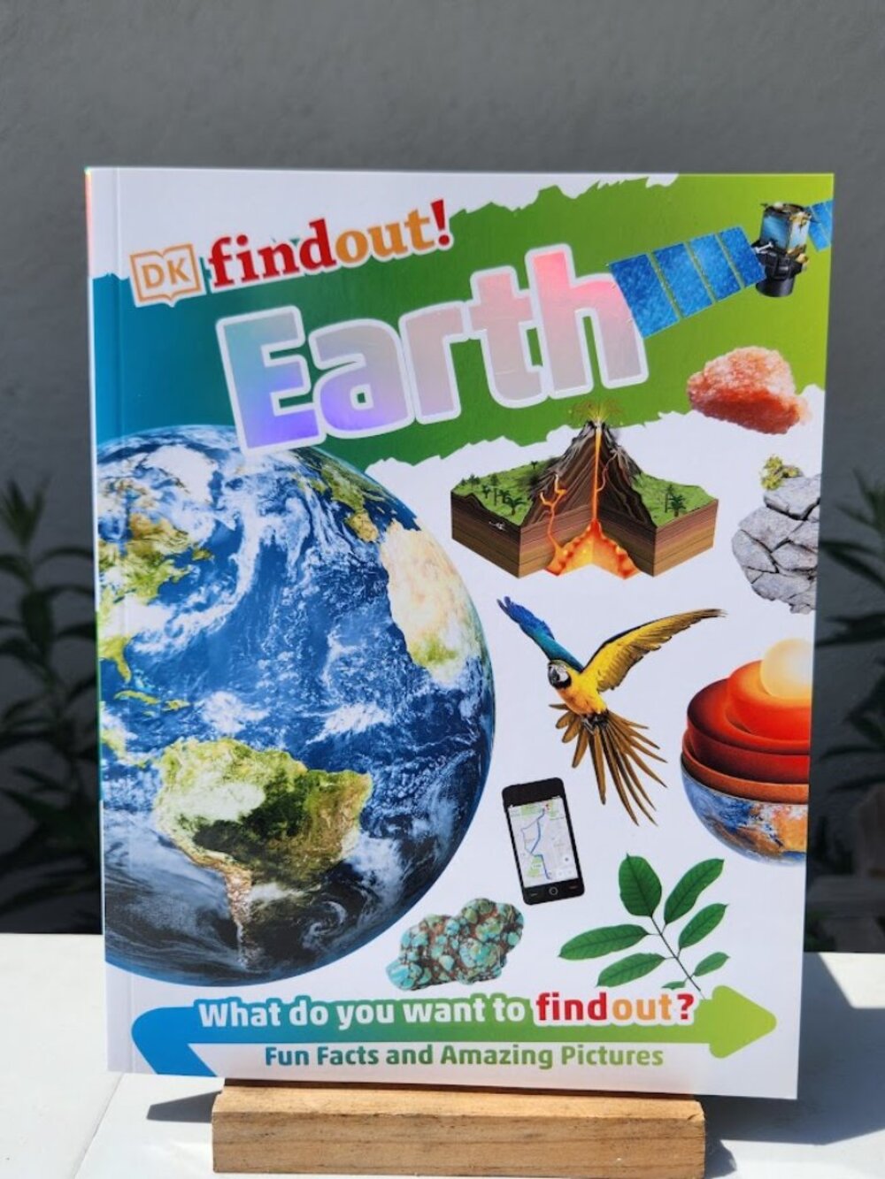 NEW DK Findout! Earth Life Sciences Book Science Paperback BookShark Science C S
